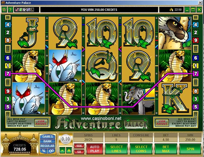 Adventure Palace Slotmaschine - 5x Cobra Gewinnlinie mit WILD Symbol