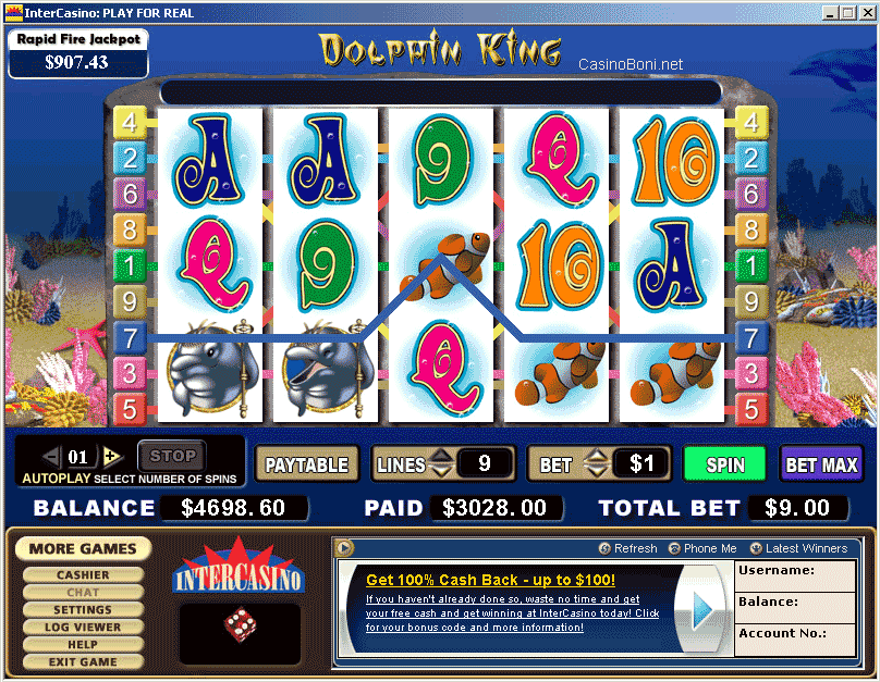 Casino Slot Dolphin King