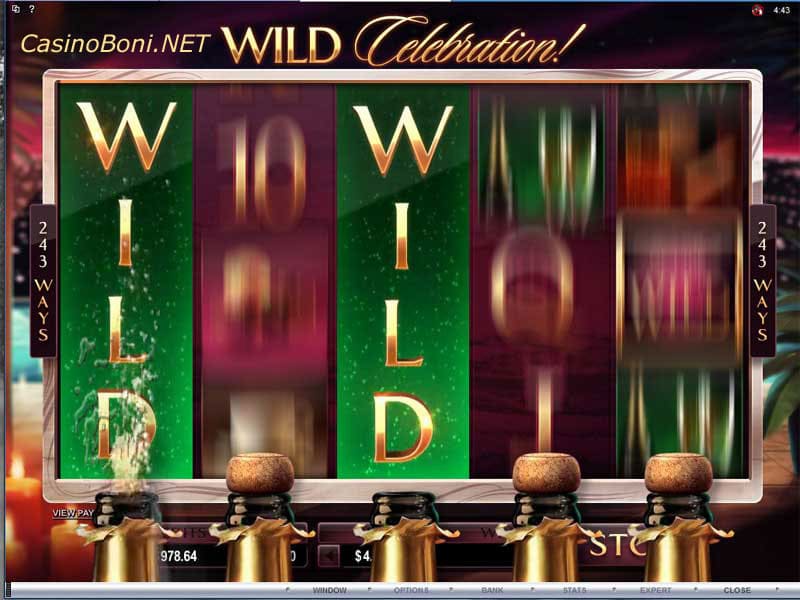 Durch Zufall wird das Wild Celebration Bonus des Online Casino Videoslots ausgelöst 