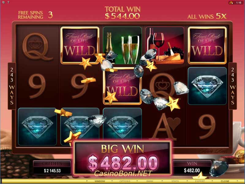 toller 482 Dollar Gewinn im Freispiel Extra Game des Finer Reels Of Life Casino Online Slot 