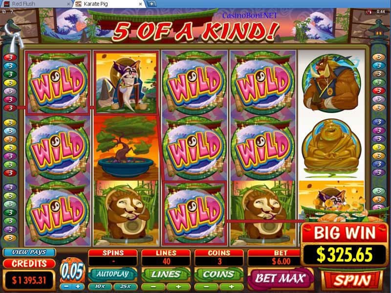  cooler 55 facher Casino Gewinn durch diese mit vielen Wildsymbolen ergänzte Gewinnkombination in der Casino Online Slotmaschine - Karate Pig 