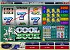Online Casino Slotmachine - COOL BUCK - a player wins the line bet 300 times